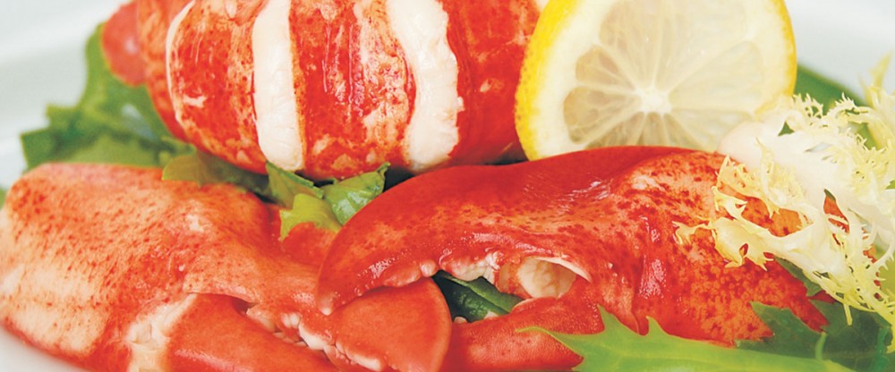 Fresh Cooked Lobster Meat